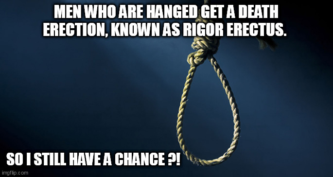 Erection | MEN WHO ARE HANGED GET A DEATH ERECTION, KNOWN AS RIGOR ERECTUS. SO I STILL HAVE A CHANCE ?! | image tagged in erection | made w/ Imgflip meme maker