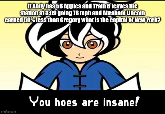 You hoes are insane! | If Andy has 56 Apples and Train B leaves the station at 3:09 going 78 mph and Abraham Lincoln earned 50% less than Gregory what is the capital of New York? | image tagged in you hoes are insane | made w/ Imgflip meme maker
