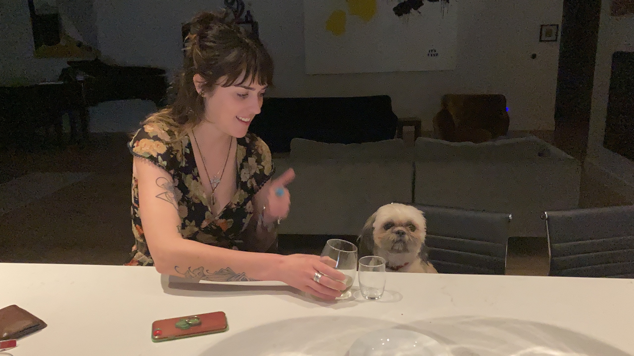 High Quality Cheers dog Blank Meme Template