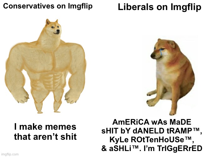Buff Doge vs. Cheems | Conservatives on Imgflip; Liberals on Imgflip; AmERiCA wAs MaDE sHIT bY dANELD tRAMP™, KyLe ROtTenHoUSe™, & aSHLi™. I’m TrIGgERrED; I make memes that aren’t shit | image tagged in memes,buff doge vs cheems,libtards,oh wow are you actually reading these tags | made w/ Imgflip meme maker