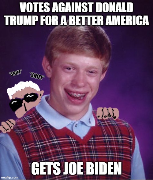 When you vote against a candidate instead of for a candidate, you tend to get what you didn't want. | VOTES AGAINST DONALD TRUMP FOR A BETTER AMERICA; *SNIFF*; *SNIFF*; GETS JOE BIDEN | image tagged in memes,bad luck brian | made w/ Imgflip meme maker