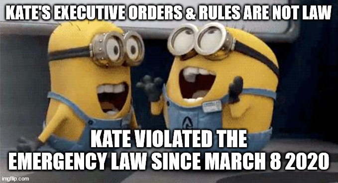 Excited Minions Meme | KATE'S EXECUTIVE ORDERS & RULES ARE NOT LAW; KATE VIOLATED THE EMERGENCY LAW SINCE MARCH 8 2020 | image tagged in memes,excited minions | made w/ Imgflip meme maker