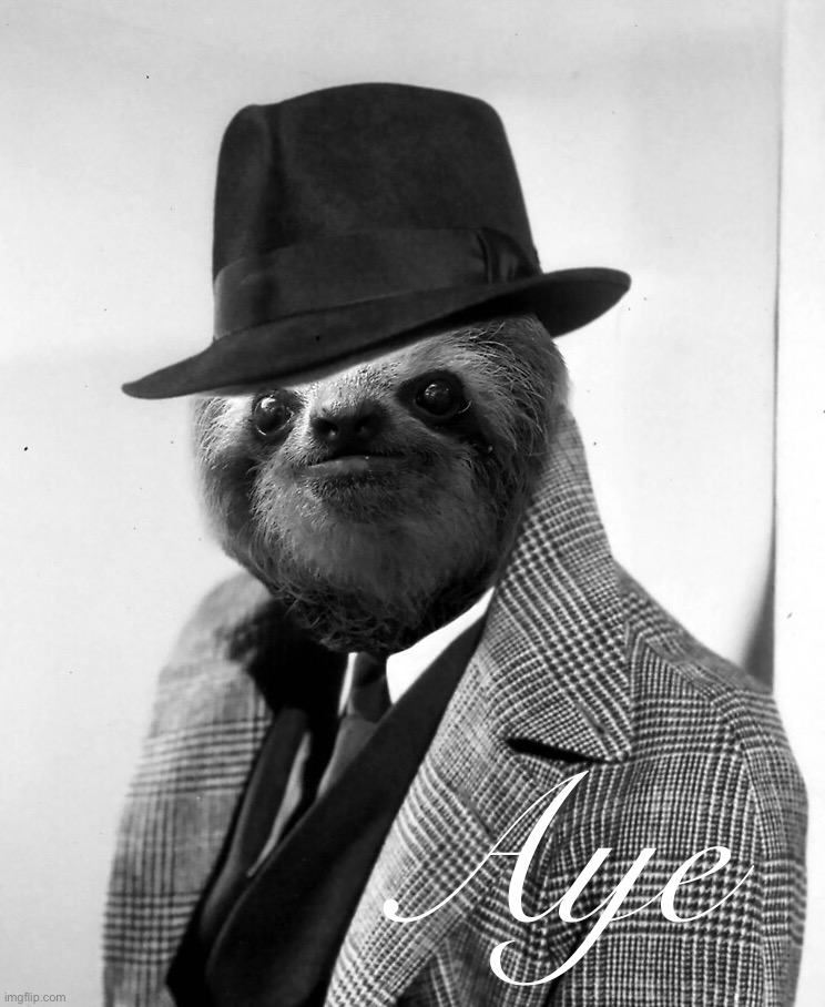 Sloth gentleman | Aye | image tagged in sloth gentleman | made w/ Imgflip meme maker