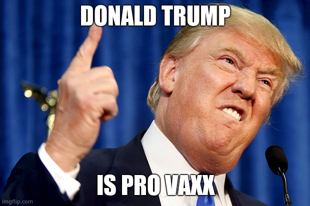 Donald Trump | DONALD TRUMP IS PRO VAXX | image tagged in donald trump | made w/ Imgflip meme maker