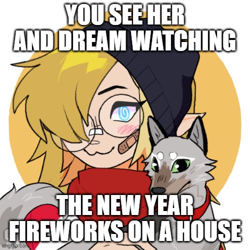 Happy New year! Dsmp rp. No joke ocs or Op ocs. | YOU SEE HER AND DREAM WATCHING; THE NEW YEAR FIREWORKS ON A HOUSE | image tagged in dream smp,happy new year,roleplaying | made w/ Imgflip meme maker