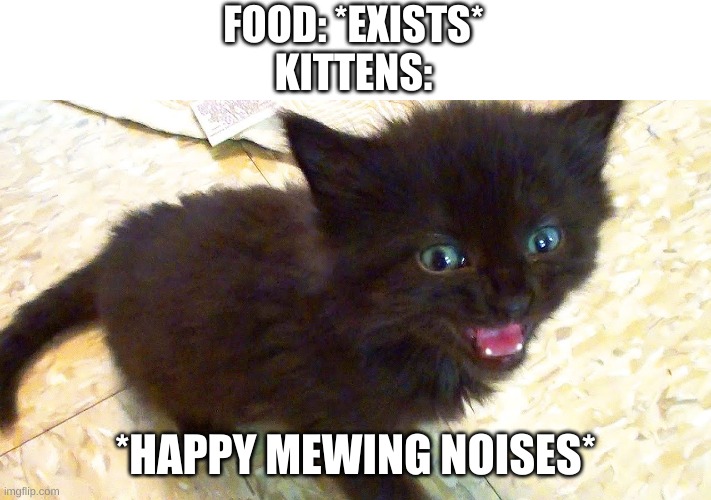 Tiny Black Kitten | FOOD: *EXISTS*
KITTENS:; *HAPPY MEWING NOISES* | image tagged in tiny black kitten | made w/ Imgflip meme maker