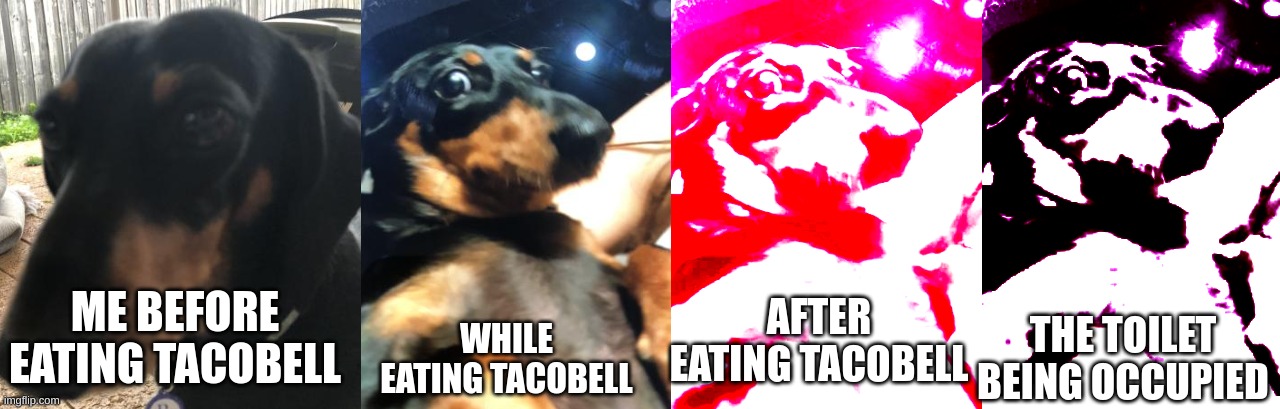 I just wanted to eat that tacobell.. | ME BEFORE EATING TACOBELL; AFTER EATING TACOBELL; WHILE EATING TACOBELL; THE TOILET BEING OCCUPIED | image tagged in i realised my mistake | made w/ Imgflip meme maker