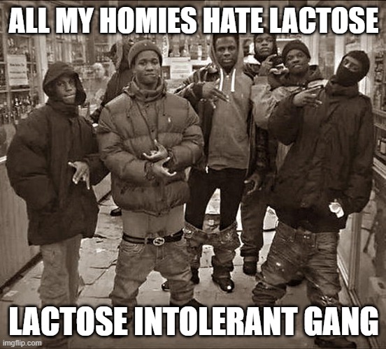 All My Homies Hate | ALL MY HOMIES HATE LACTOSE; LACTOSE INTOLERANT GANG | image tagged in all my homies hate | made w/ Imgflip meme maker