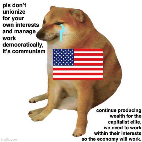Work for the capitalists, work for murica! |  pls don’t unionize for your own interests and manage work democratically, it’s communism; continue producing wealth for the capitalist elite,
we need to work
within their interests
so the economy will work. | image tagged in cheems,america,united states,conservative logic,economy,capitalism | made w/ Imgflip meme maker