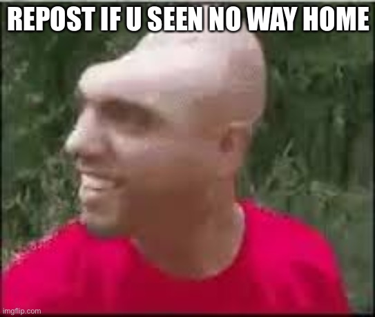 Dishweed | REPOST IF U SEEN NO WAY HOME | image tagged in dishweed | made w/ Imgflip meme maker