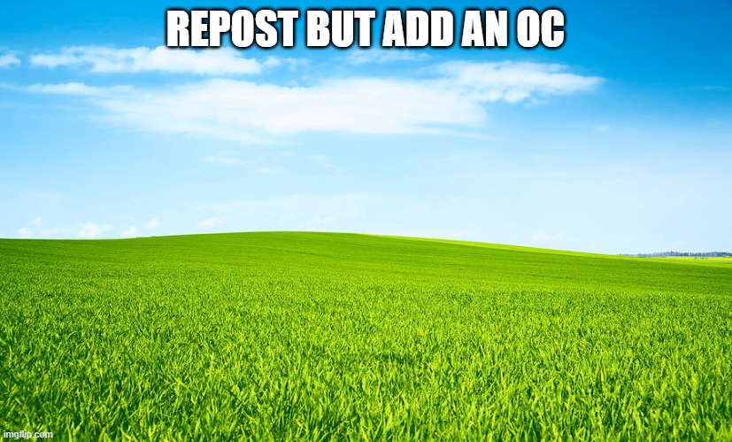 grass | REPOST BUT ADD AN OC | image tagged in grass,go touch some | made w/ Imgflip meme maker