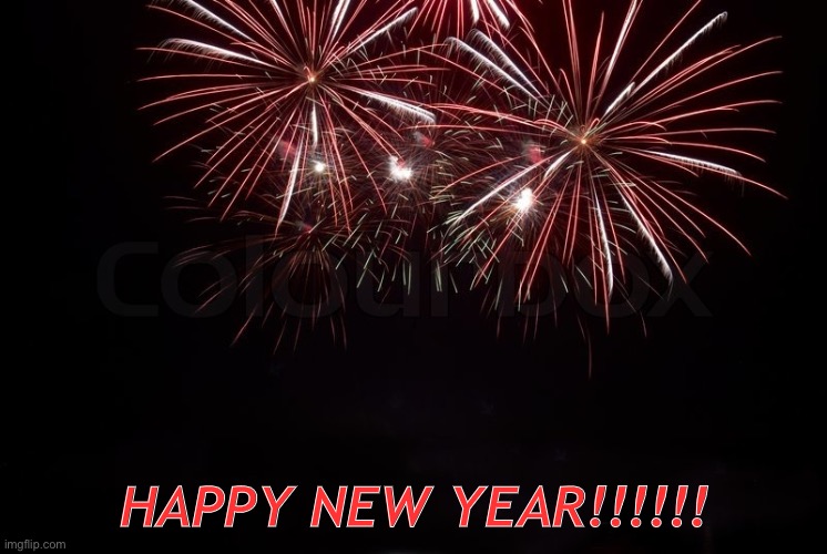 Happy New Year | HAPPY NEW YEAR!!!!!! | image tagged in happy new year | made w/ Imgflip meme maker