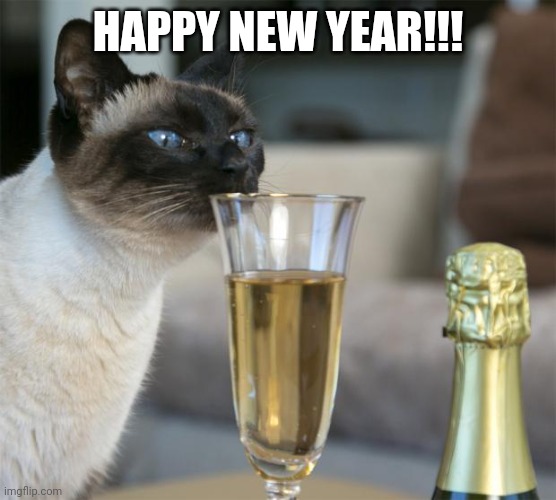 Cheers! *drinks* | HAPPY NEW YEAR!!! | image tagged in cat with champagne flute | made w/ Imgflip meme maker