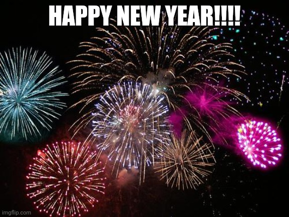 new year | HAPPY NEW YEAR!!!! | image tagged in new years | made w/ Imgflip meme maker