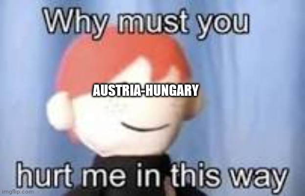 Why must you hurt me in this way | AUSTRIA-HUNGARY | image tagged in why must you hurt me in this way | made w/ Imgflip meme maker