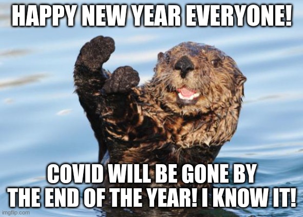 happy new year! | HAPPY NEW YEAR EVERYONE! COVID WILL BE GONE BY THE END OF THE YEAR! I KNOW IT! | image tagged in otter celebration | made w/ Imgflip meme maker