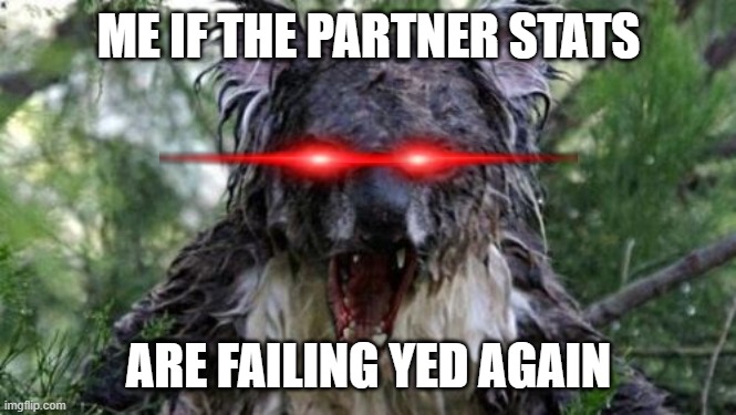 they better be not failing me again | ME IF THE PARTNER STATS; ARE FAILING YED AGAIN | image tagged in memes,angry koala | made w/ Imgflip meme maker