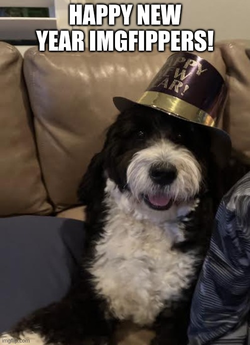  HAPPY NEW YEAR IMGFIPPERS! | image tagged in new year dog | made w/ Imgflip meme maker