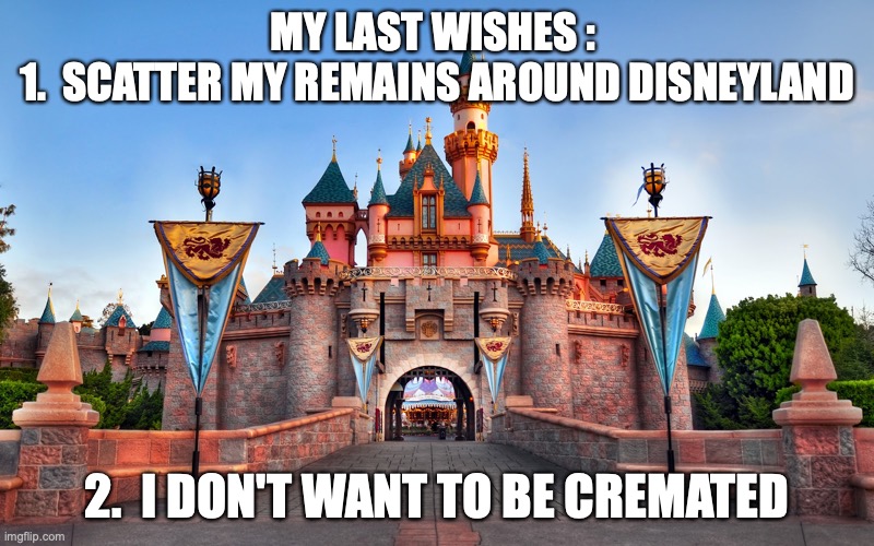 Disneyland |  MY LAST WISHES : 
1.  SCATTER MY REMAINS AROUND DISNEYLAND; 2.  I DON'T WANT TO BE CREMATED | image tagged in disneyland,death | made w/ Imgflip meme maker