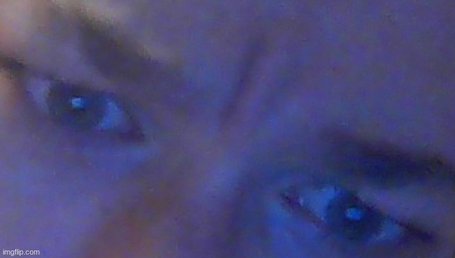 >tfw absolute bullshit | made w/ Imgflip meme maker