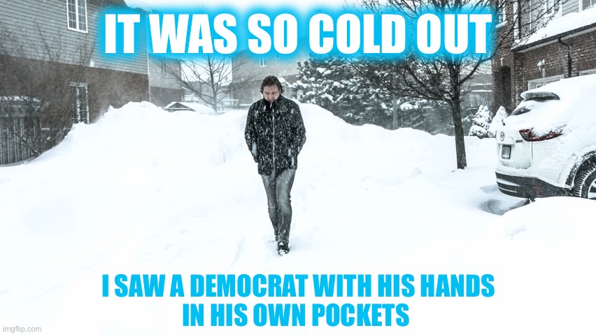 Happy New Year to allincluding Democrats |  IT WAS SO COLD OUT; I SAW A DEMOCRAT WITH HIS HANDS
IN HIS OWN POCKETS | image tagged in cold | made w/ Imgflip meme maker