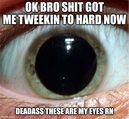 im tweeking way to hard XD | OK BRO SHIT GOT ME TWEEKIN TO HARD NOW; DEADASS THESE ARE MY EYES RN | made w/ Imgflip meme maker