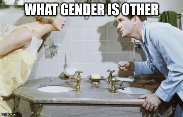 Bathroom | WHAT GENDER IS OTHER | image tagged in bathroom | made w/ Imgflip meme maker