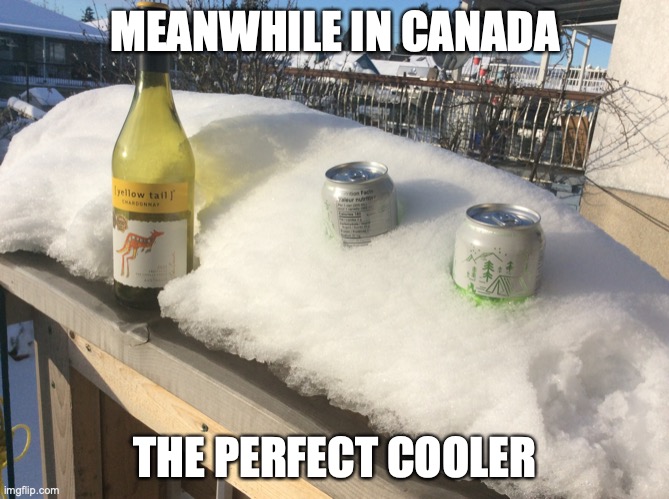 Meanwhile in Canada | MEANWHILE IN CANADA; THE PERFECT COOLER | image tagged in canadian cooler | made w/ Imgflip meme maker