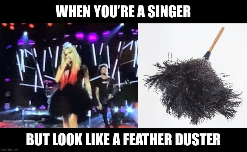 When you’re a singer, but look like a feather duster | WHEN YOU’RE A SINGER; BUT LOOK LIKE A FEATHER DUSTER | image tagged in feathers,singer | made w/ Imgflip meme maker