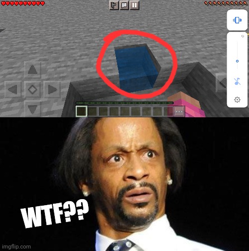 Looks cursed to me. | WTF?? | image tagged in minecraft,cursed,glitch maybe,weird,how | made w/ Imgflip meme maker
