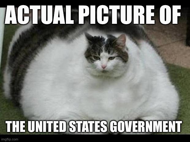 fat cat 2 | ACTUAL PICTURE OF THE UNITED STATES GOVERNMENT | image tagged in fat cat 2 | made w/ Imgflip meme maker