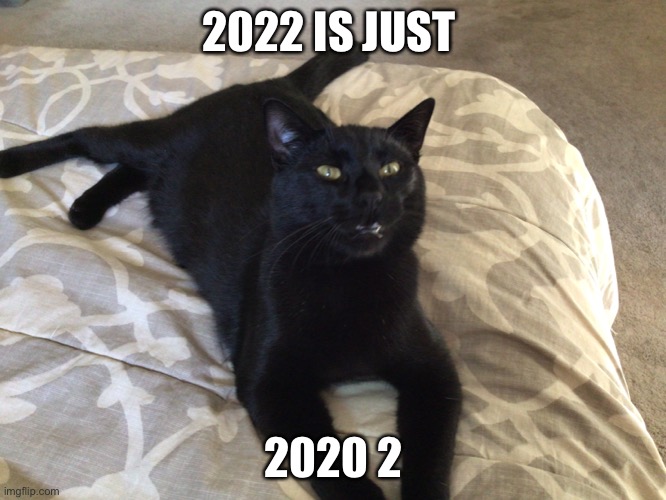Realization just set in | 2022 IS JUST; 2020 2 | image tagged in cats,2022,new years,realization | made w/ Imgflip meme maker