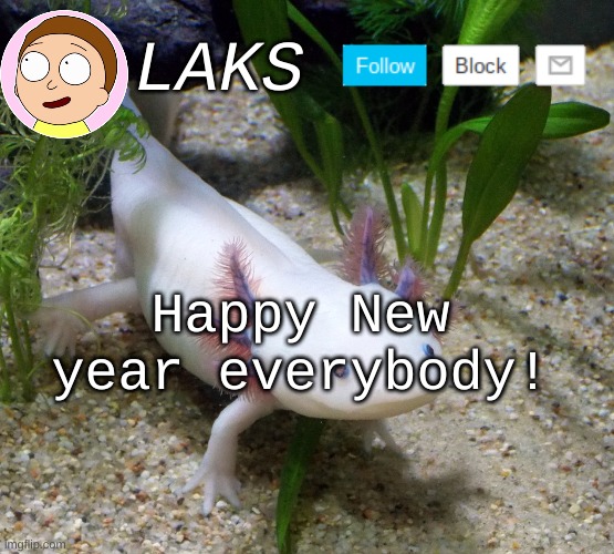 LAKS axolotl template | Happy New year everybody! | image tagged in laks axolotl template | made w/ Imgflip meme maker