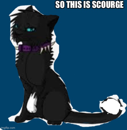 SO THIS IS SCOURGE | made w/ Imgflip meme maker