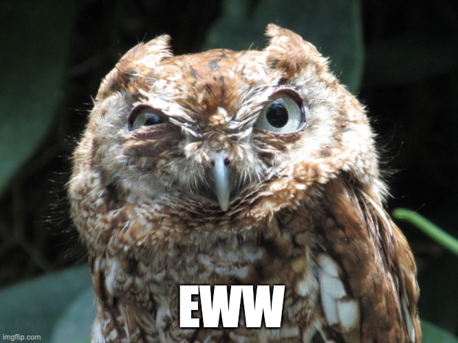 Eww owl | EWW | image tagged in eww owl,eww,owl,disgusting,grossed out,gross | made w/ Imgflip meme maker