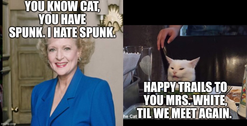 YOU KNOW CAT, YOU HAVE SPUNK. I HATE SPUNK. HAPPY TRAILS TO YOU MRS. WHITE, TIL WE MEET AGAIN. | image tagged in smudge the cat | made w/ Imgflip meme maker