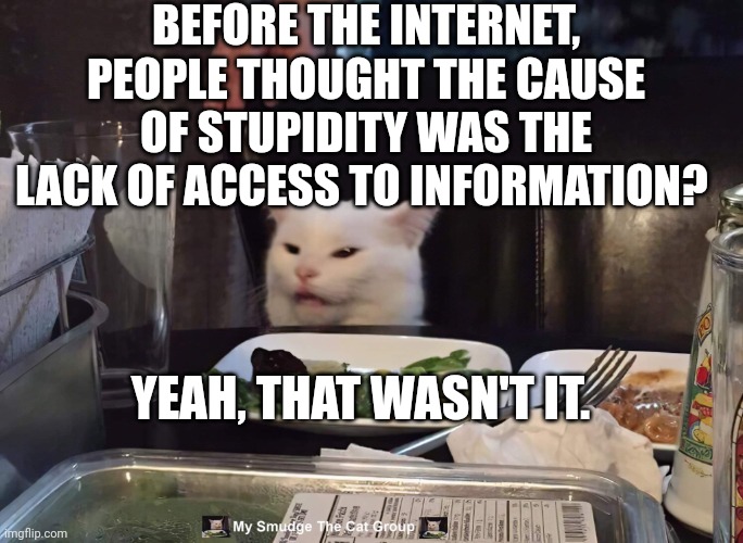 BEFORE THE INTERNET, PEOPLE THOUGHT THE CAUSE OF STUPIDITY WAS THE LACK OF ACCESS TO INFORMATION? YEAH, THAT WASN'T IT. | image tagged in smudge the cat | made w/ Imgflip meme maker