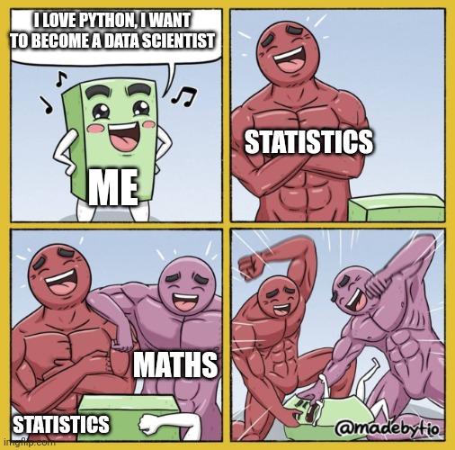 Expectations vs reality | I LOVE PYTHON, I WANT TO BECOME A DATA SCIENTIST; STATISTICS; ME; MATHS; STATISTICS | image tagged in guy getting beat up | made w/ Imgflip meme maker