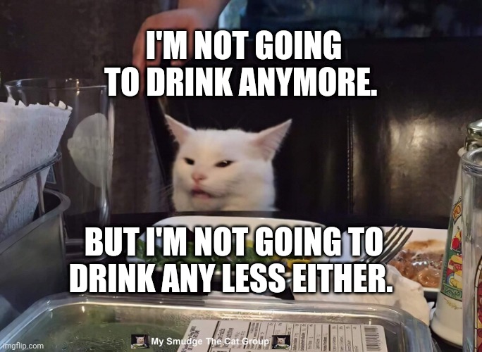 I'M NOT GOING TO DRINK ANYMORE. BUT I'M NOT GOING TO DRINK ANY LESS EITHER. | image tagged in smudge the cat | made w/ Imgflip meme maker