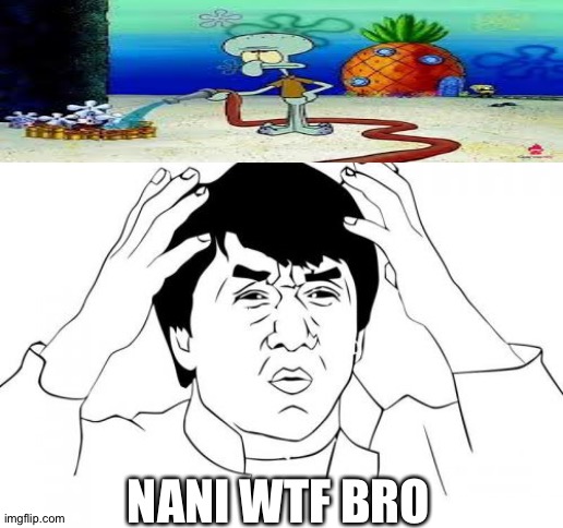 Jackie Chan WTF |  NANI WTF BRO | image tagged in memes,jackie chan wtf | made w/ Imgflip meme maker