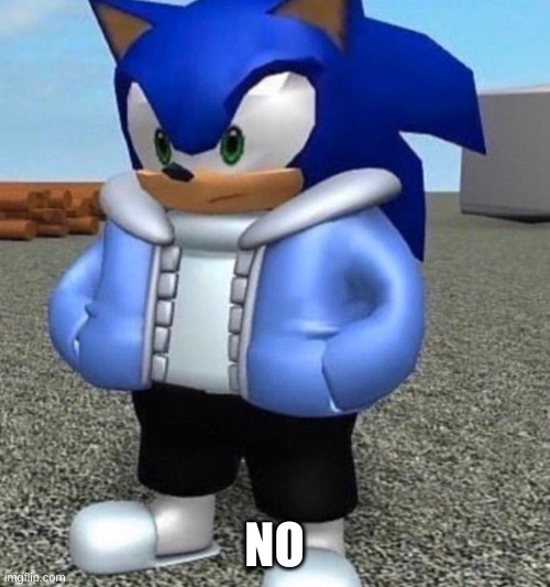 Sonic sans undertale | NO | image tagged in sonic sans undertale | made w/ Imgflip meme maker