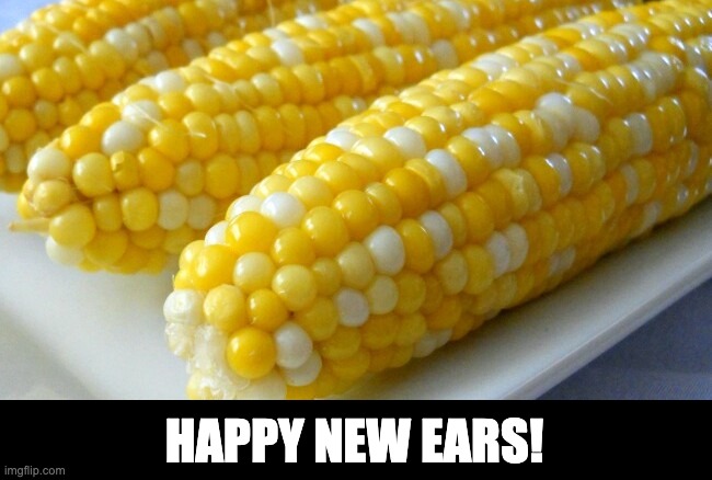 Happy New Year | HAPPY NEW EARS! | image tagged in bad pun | made w/ Imgflip meme maker