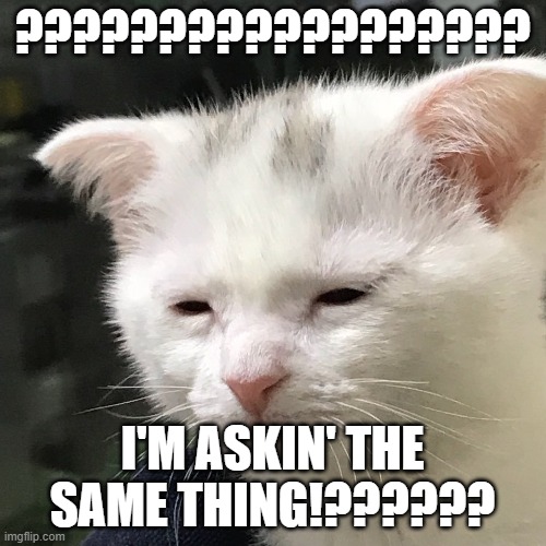 I'm awake, but at what cost? | ?????????????????? I'M ASKIN' THE SAME THING!?????? | image tagged in i'm awake but at what cost | made w/ Imgflip meme maker