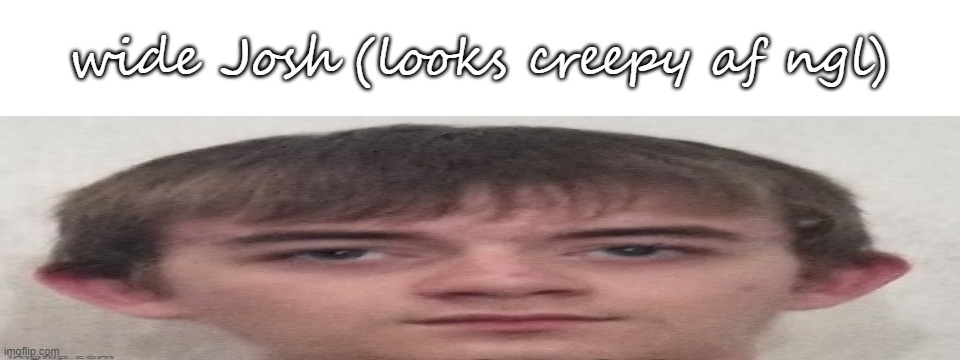 wide Josh (looks creepy af ngl) | image tagged in blank white template | made w/ Imgflip meme maker