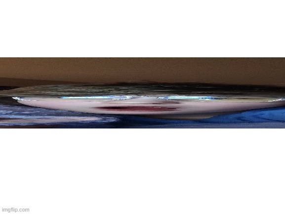 Blank White Template | image tagged in blank white template | made w/ Imgflip meme maker