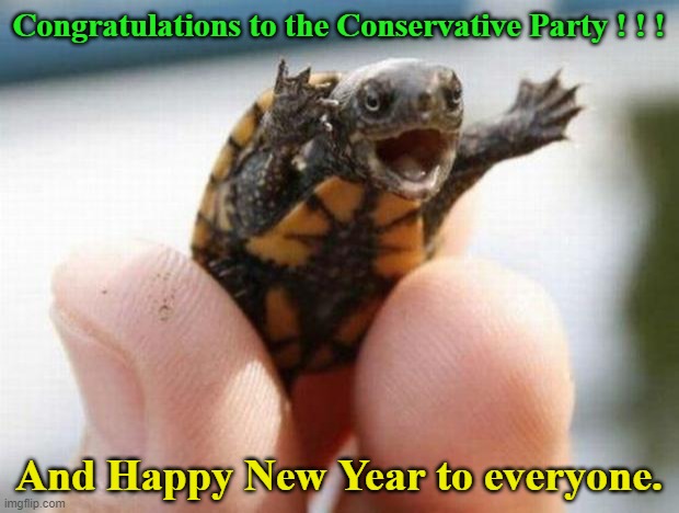 Congrats | Congratulations to the Conservative Party ! ! ! And Happy New Year to everyone. | image tagged in happy baby turtle | made w/ Imgflip meme maker