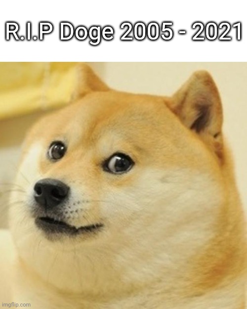 First Gabe now this | R.I.P Doge 2005 - 2021 | image tagged in memes,doge | made w/ Imgflip meme maker