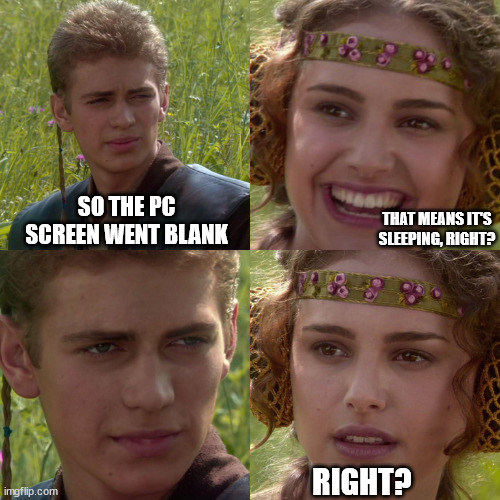 Anakin Padme 4 Panel | SO THE PC SCREEN WENT BLANK THAT MEANS IT'S SLEEPING, RIGHT? RIGHT? | image tagged in anakin padme 4 panel | made w/ Imgflip meme maker