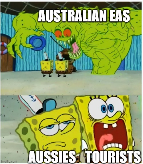 bro its just a bushfire warning | AUSTRALIAN EAS; TOURISTS; AUSSIES | image tagged in spongebob squarepants scared but also not scared | made w/ Imgflip meme maker