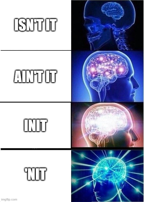 Expanding Brain | ISN'T IT; AIN'T IT; INIT; 'NIT | image tagged in memes,expanding brain,infinite iq,brains | made w/ Imgflip meme maker